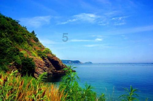 济宁：集中内销+AEO认证赋能加工贸易企业发展
